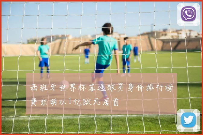 西班牙世界杯落选球员身价排行榜费尔明以1亿欧元居首